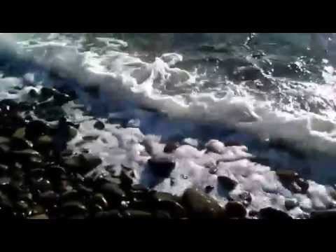 Видео: Скорпионс Я все еще люблю тебя