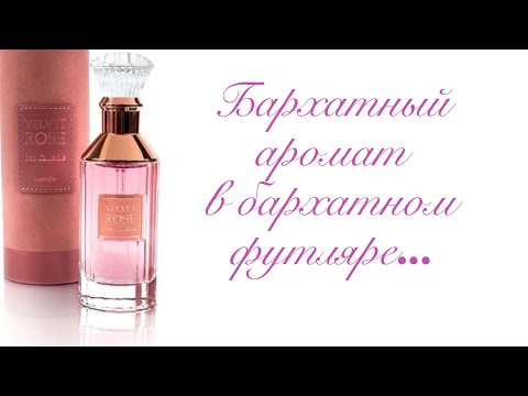 Видео: Аромат про  бархатную розу.