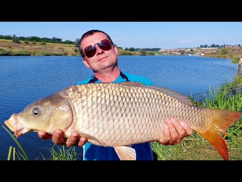 Видео: Рыбалка на Чёрном Ташлыке  с  коллегой по увлечению