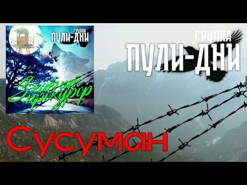 Видео: Группа Пули Дни - Зелёный прокурор (весь альбом 2025) Супер Хиты!