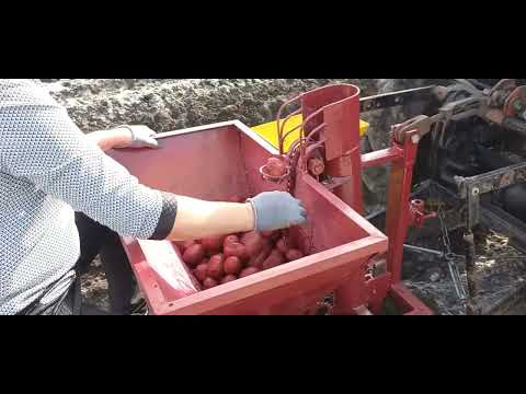 Видео: Картофелесажалка часть 3  финальная  посадка картофеля