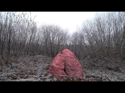 Видео: ИЗ КРАЙНОСТИ В КРАЙНОСТЬ, НО КАК ТАК ТО!? НОЧЬ НА БЕРЕГУ ВОЗЛЕ СОСЕДНЕЙ ДЕРЕВНИ \ ДОНКИ НА НАЛИМА !