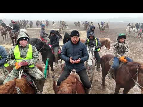 Видео: 12.02.25 Қазығұрт ауданы Алтынтөбе ауылы Әбдуәлі Шәкірұлын еске алу және Ұлданай апамызға 75 жас.