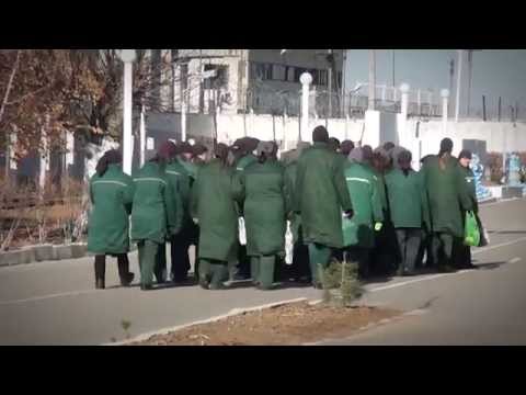 Видео: Осужденные волгоградской колонии: путь за решетку короче дороги домой