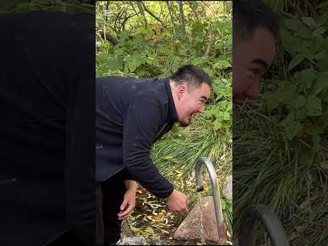 Видео: 24 октября 2025 г.