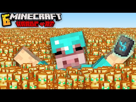 Видео: БЕСКОНЕЧНЫЕ ТОТЕМЫ и ШАБЛОНЫ в Майнкрафт Хардкор | Minecraft 1.20.1