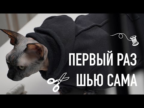 Видео: Шью кофту из секонд-хенда для кошки