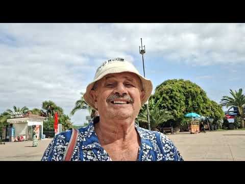 Видео: 29 августа 2025 г.