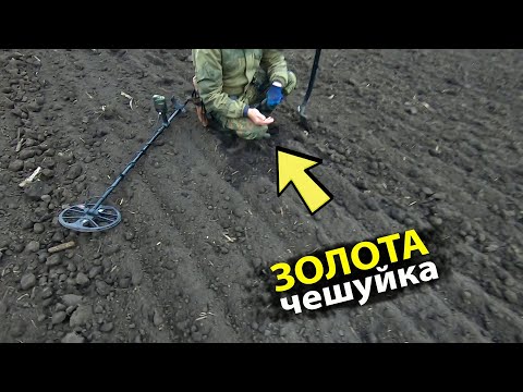 Видео: Друг нашел ЗОЛОТУЮ чешуйку чк.Коп монет с minelab equinox 800