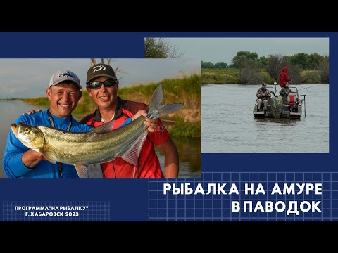 Видео: Рыбалка на Амуре в паводок