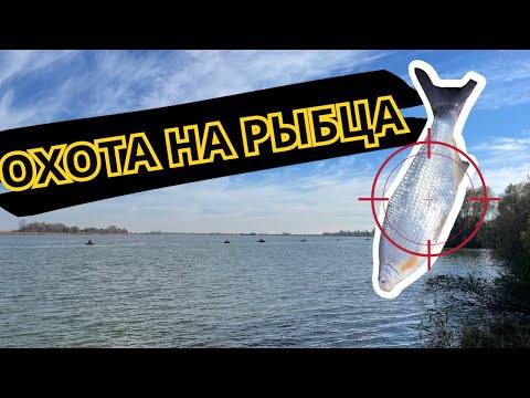 Видео: РЫБАЛКА НА ФИДЕР ОСЕНЬЮ. ЦЕЛЬ - РЫБЕЦ. ФИДЕР НА РЕКЕ.