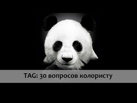 Видео: TAG: 30 вопросов колористу🎨