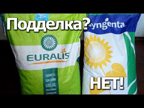 Видео: Как не купить подделку? Сертифицированные семена подсолнуха Сингента, Евралис.