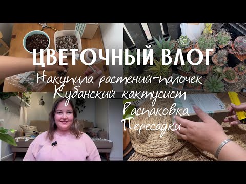 Видео: ОБЗОР необычных РАСТЕНИЙ | влог| ПОКУПКИ | РАСПАКОВКИ | выставка КАКТУСИСТ