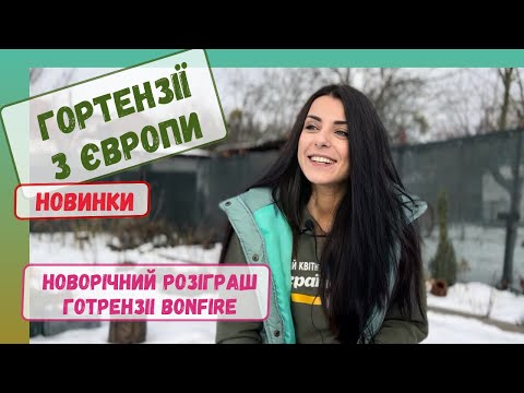 Видео: Новинки. Приїхали саджанці гортензій з Європи.