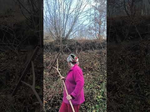 Видео: Відповідаю на запитання 