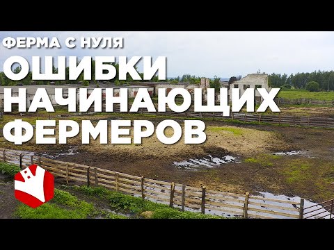 Видео: Фермерское хозяйство с нуля | Ошибки начинающих фермеров | Мясное животноводство