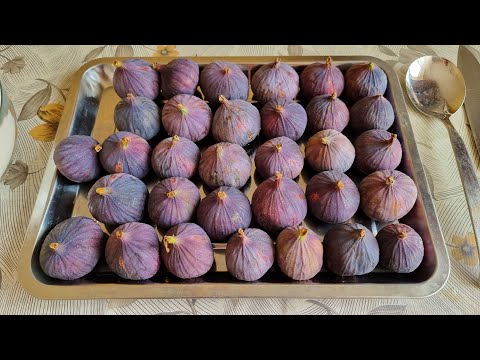 Видео: ДЖЕМ ИЗ ИНЖИРА. Выпуск №975