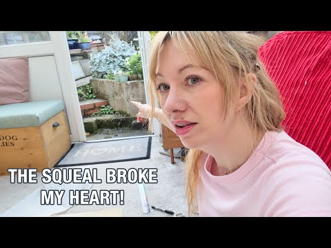 Видео: Ещё больше диких животных пытаются проникнуть в наш дом! Мне было так жаль птицу!