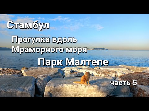 Видео: Стамбул. Прогулка вдоль Мраморного моря. Парк Малтепе часть 5. Погода в Стамбуле в октябре.