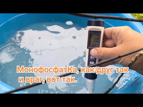 Видео: ☝️Чим я попік 🔥молоде листя🌱 весною..  1гр.МФК на 1л води = 500+-ЕС