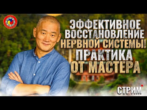 Видео: Эффективное восстановление нервной системы. Практика от мастера. Цигун. Киай Цигун