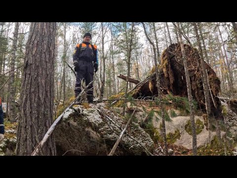 Видео: Сибирский шаман рассказал когда где найдут Усольцевых 
