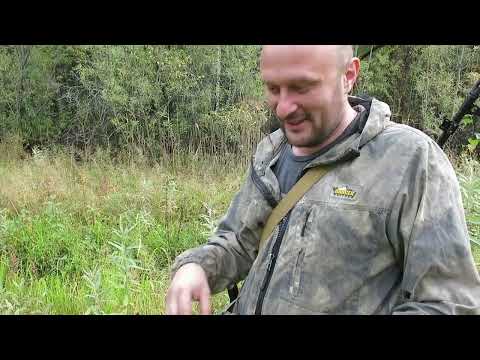 Видео: ХОЗЯЕВА ТАЙГИ. НЕУДАЧНЫЙ ГОД.