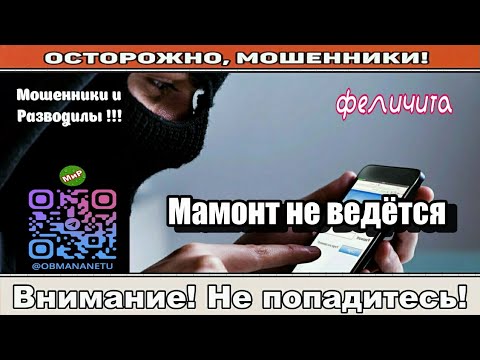 Видео: Мошенники звонят по телефону / Мамонт не ведётся ( сборник ).