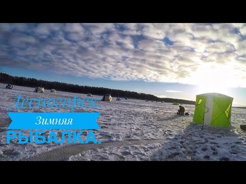 Видео: Десногорск. Зимняя рыбалка 🎣.