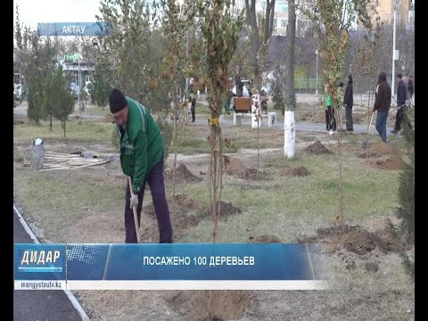 Видео: Посажено 100 деревьев