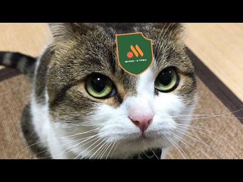 Видео: serebro - сладко (best part looped)