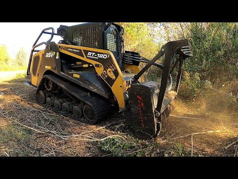 Видео: ПЕРСИДСКИЕ ЗАХВАТЧИКИ! ОГРОМНЫЕ ТРИ АКРА, ЗАПОЛНЕННЫЕ ИНВАЗИВНЫМИ ШЕЛКОВЫМИ ДЕРЕВЬЯМИ!