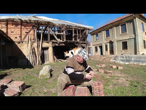 Видео: ПОКРИВА НА ПЛЕВНЯТА Е ПОЧТИ ГОТОВ  / ЖИВОТ НА СЕЛO / Нашата 'СТАРИЦА' гордо се изправя   / LINE D5