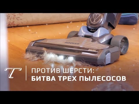 Видео: Тест пылесосов для владельцев собак и кошек
