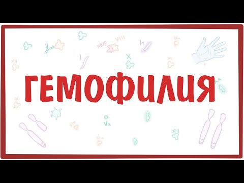 Видео: Гемофилия — причины, симптомы, патогенез, диагностика, лечение
