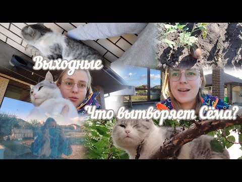 Видео: VLOG Что вытворяет Сёма?🌳 Выходные ☀️