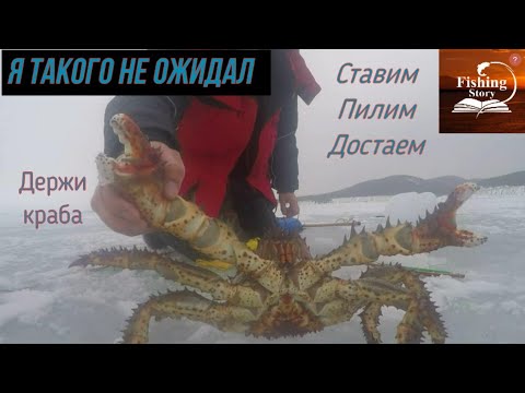 Видео: Как сахалинцы ловят колючего(королевского) краба из-подо льда,со дна охотского моря