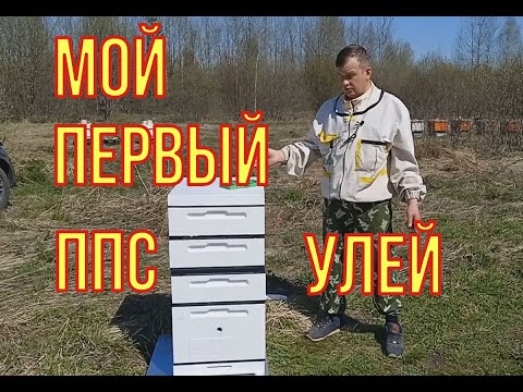 Видео: Мой первый улей ППС на пасеке. Так ли хороши ППС  ульи. Полный обзор улья от компании "пеноулик".