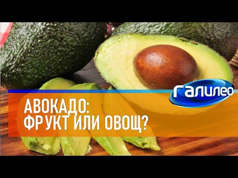 Видео: Галилео 🥑 Авокадо: фрукт или овощ?