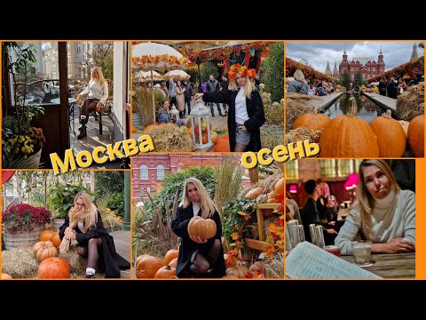 Видео: И не овощ, и не фрукт,Тыкву ягодой зовут. Хогвартс бар или black swan 🦢 в Москве. 