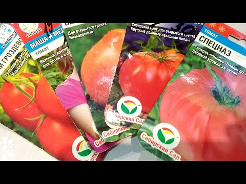 Видео: Обзор Семян Томатов🍅которые Порадовали😀и Огорчили😭в Этом сезоне. И какие Посажу в 2021году 💯