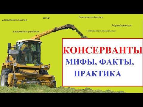Видео: Консерванты для силоса  мифы, факты, практика  Взгляд зоотехника