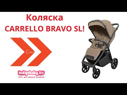 Видео: Прогулочная коляска Carrello Bravo SL CRL-5520 ❤. Новый видеообзор. Налетай!