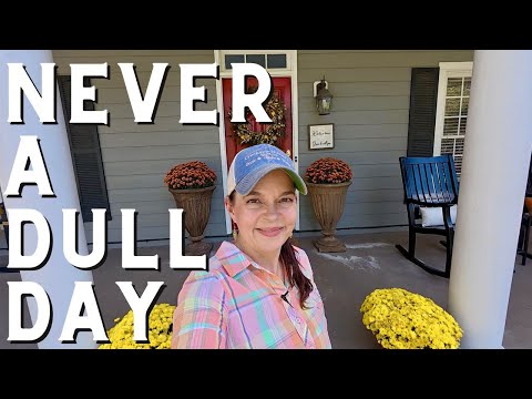 Видео: Чеснок, луковицы и сломанная система полива… Должно быть, сегодня день отдыха на берегу ручья!