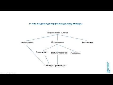 Видео: Лекция 2 Часть  3