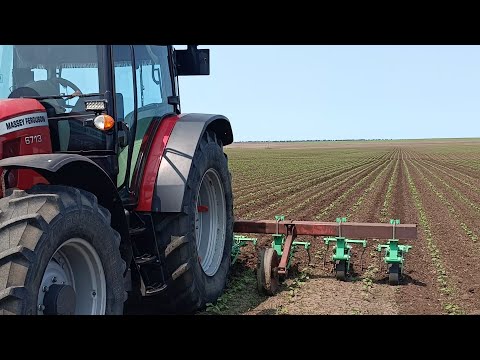 Видео: Междурядная культивация 2025 на автопилоте