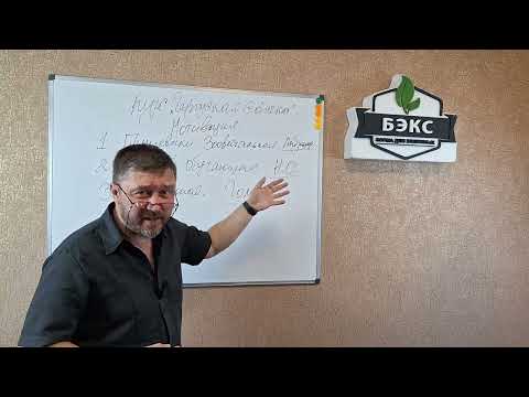 Видео: Мотивация, депривация в дрессировке собак. #кормдлясобак #БЭКС