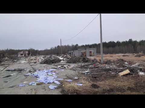 Видео: Обзор бывшего совхоза Полярные Зори