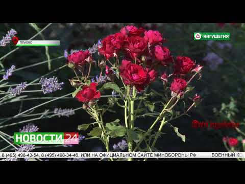 Видео: Фатима Плиева - участница конкурса на лучшее подсобное хозяйство